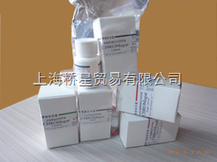 南美胎牛血清